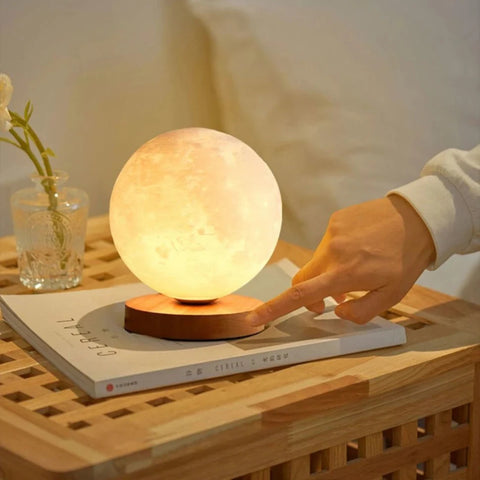 Ryota Moon Lamp