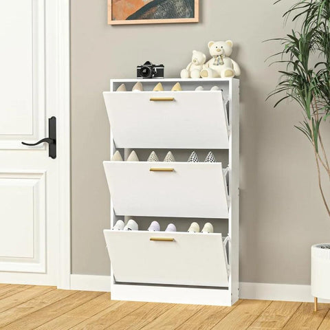 Michio Shoes Storage Cabinet